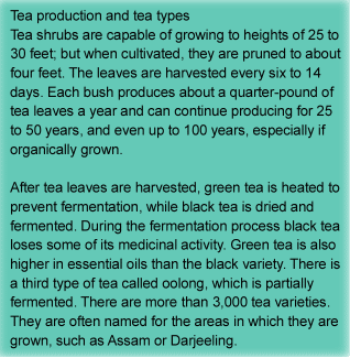 Tea production and tea types
